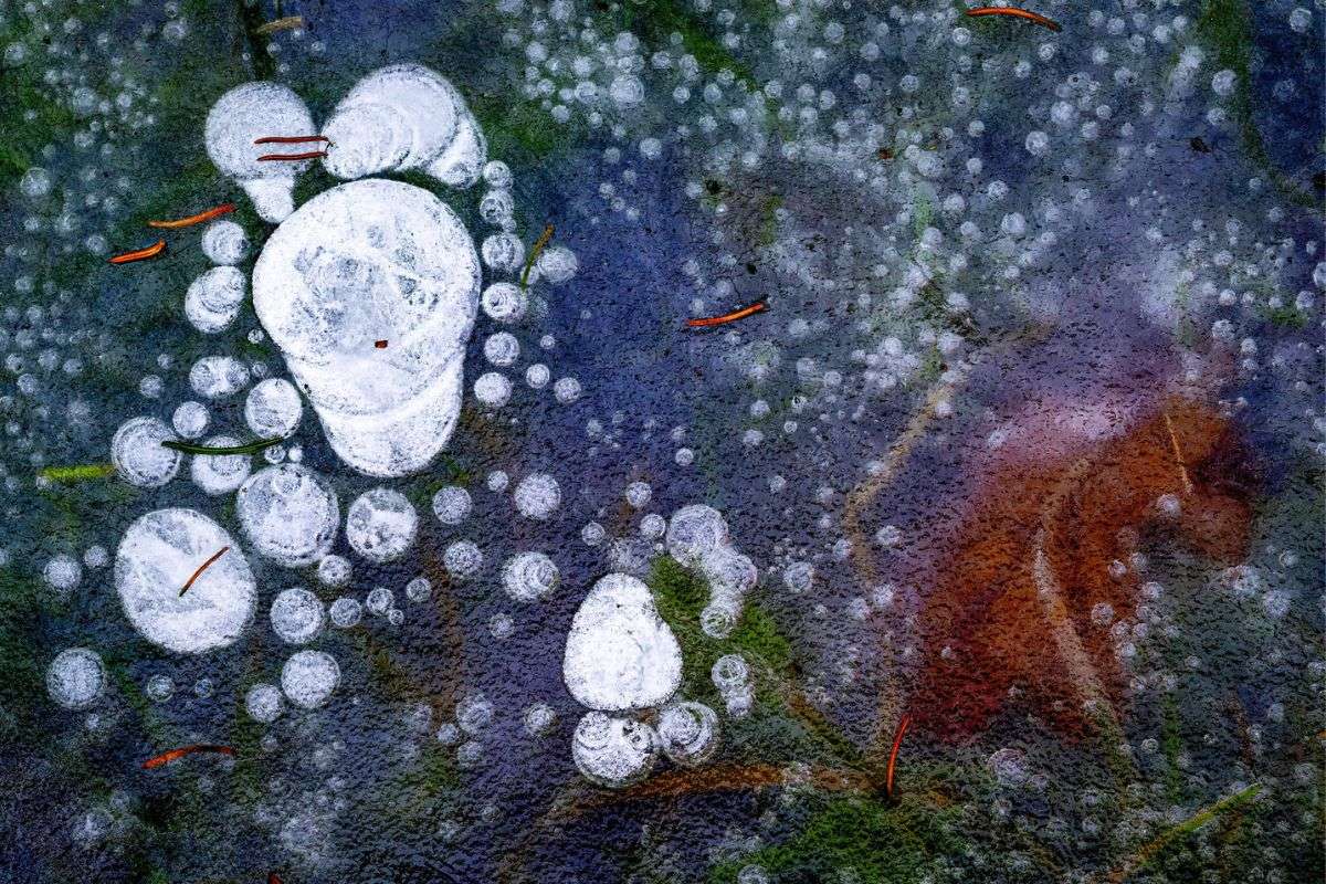 Eisgemälde im Überflutungsgebiet der Leine, (c) Susanne Großnick/NABU-naturgucker.de