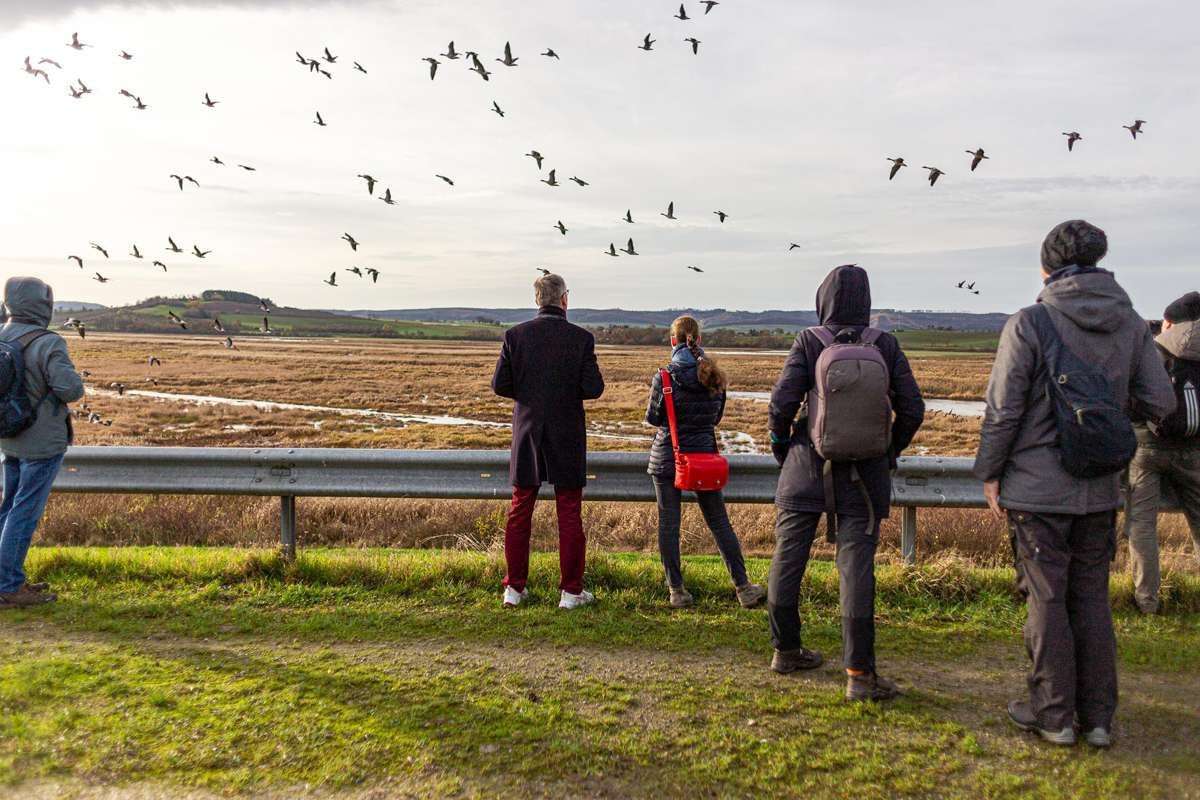 Naturgucker-Exkursion in den Leinepoldern bei Northeim, (c) Arthur Ulmann
