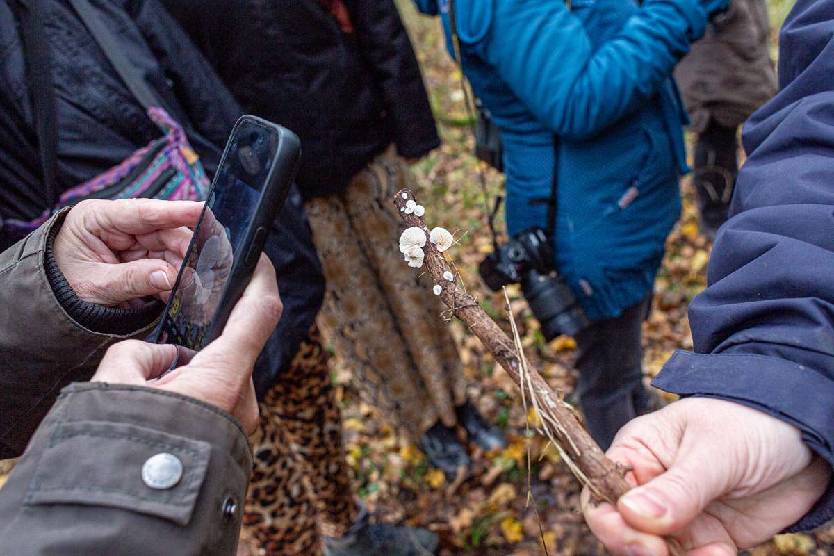 Gemeinsames Lernen auf einer Pilzexkursion, (c) Arthur Ulmann