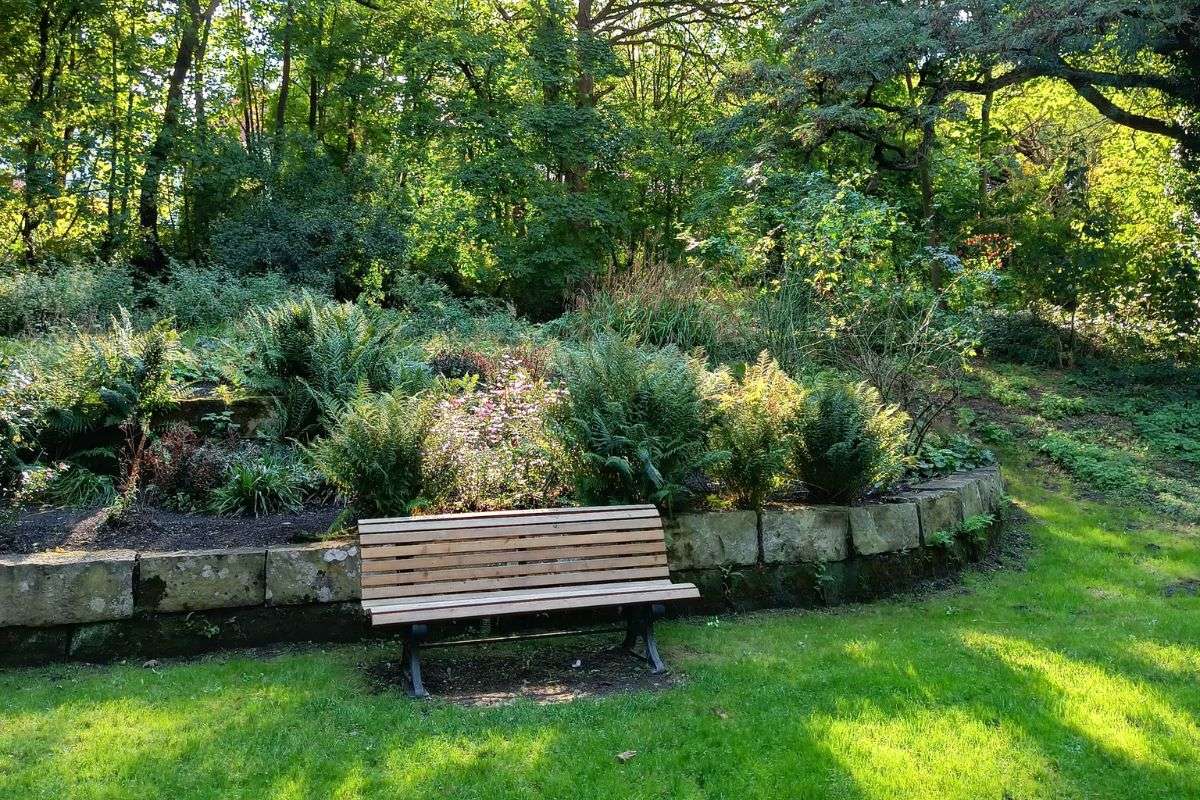 Sozialer Raum und Naturschutz im Willy-Spahn-Park, (c) Carolin Neuhaus