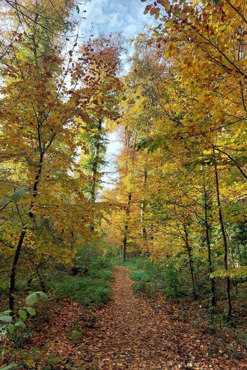Weg in die Natur, (c) Wolfgang Stillfried/NABU-naturgucker.de