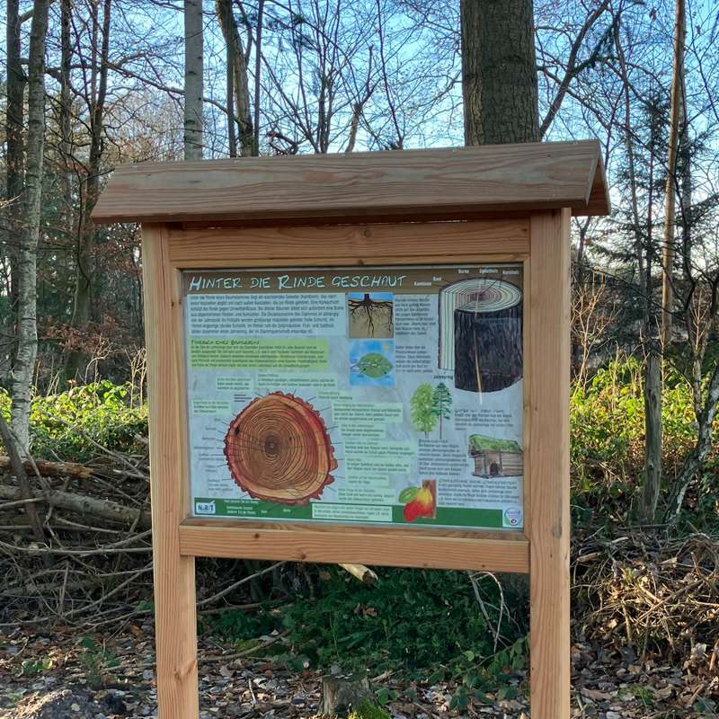 Infotafel am Baumlehrpfad Pollhoefen, (c) Regina Hannuschka