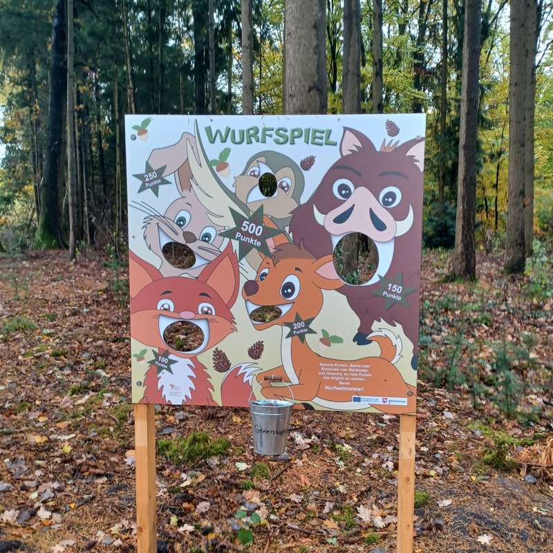 Spielerisch den Wald entdecken, (c) Regina Hannuschka