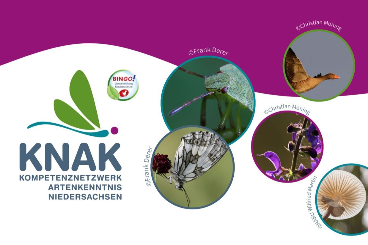 KNAK-Artenkenntniskongress