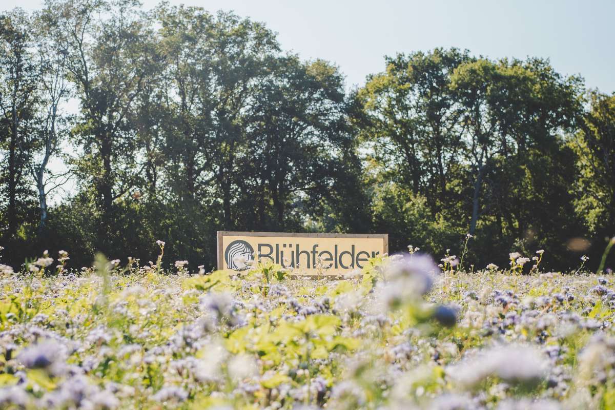 Blühfeld im Sommer, e.V. Banner, Wald, (c) Kristin von Deylen und Luca Pot D'Or