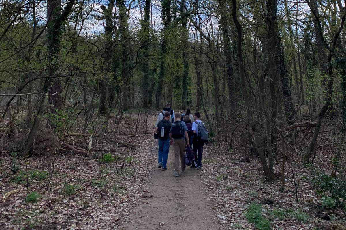 Waldspaziergang mit Kindern, (c) ArtenReich Elbtalaue