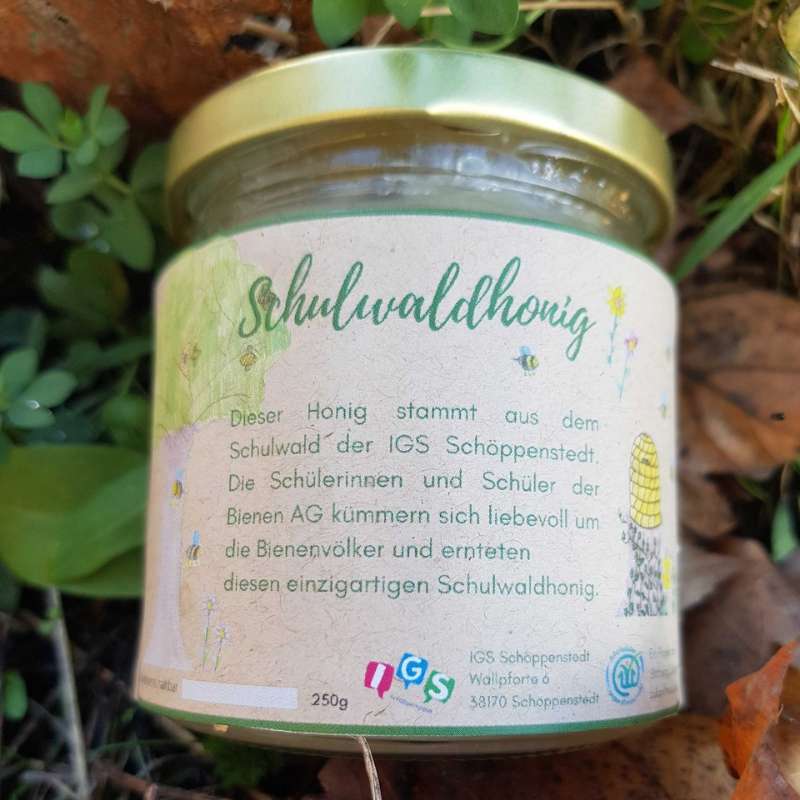 Schulwaldhonig, der in einigen Schulwäldern von Schüler*innen erwirtschaftet wird, (c) Stiftung Zukunft Wald