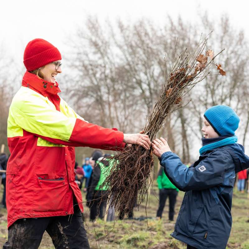 Übergabe von Setzlingen an ein:e Schüler*in bei einer Erstaufforstung, (c) Stiftung Zukunft Wald