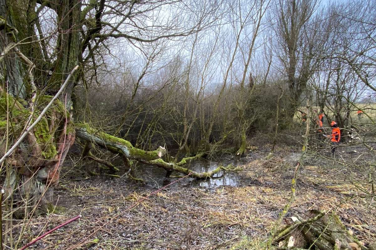 Periodisches Gewässer "Zickenpump" vor Freistellung, (c) RüRiG e. V.