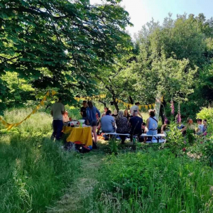 Kennenlerntreffen im NABU Garten, (c) NABU Hochschulgruppe Oldenburg Kennenlerntreffen im NABU Garten, (c) NABU Hochschulgruppe Oldenburg