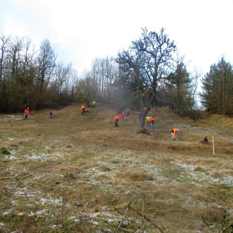Arbeit in dem NSG Kerstlingeröder Feld - Freistellung einer Magerrasenfläche, (c) RüRiG e. V.